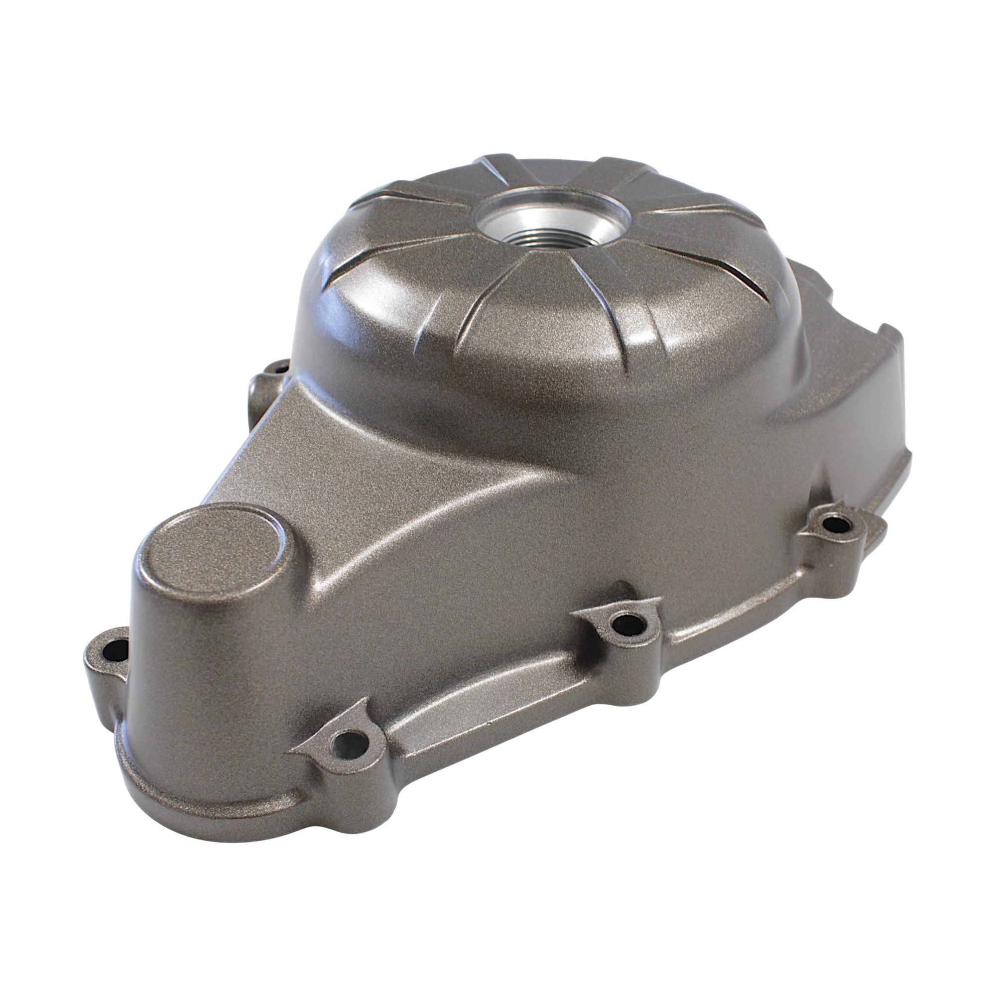 QJ MOTOR SRV 250 VS MOTOR KAPAĞI SOL #RK 66221